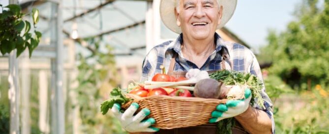 Older man gardening